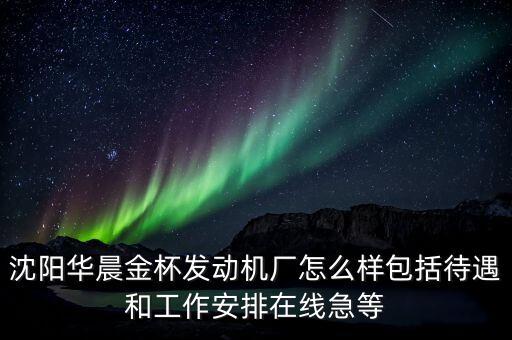 沈陽華晨金杯什么崗位最好，我想進華晨金杯生產線 不知道干什么好 問問各位大蝦什么崗位好啊 綜