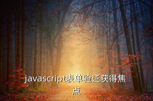 javascript表單驗(yàn)證獲得焦點(diǎn)