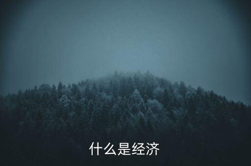 經(jīng)濟指的是什么，什么是經(jīng)濟