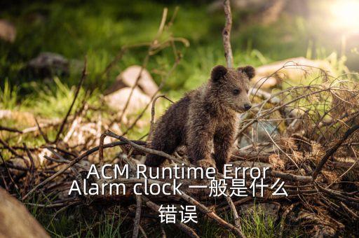 ACM Runtime ErrorAlarm clock 一般是什么錯誤