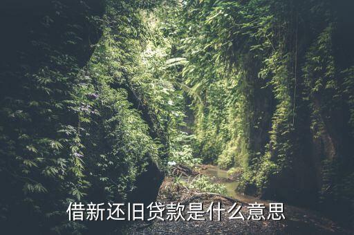 什么叫借新還舊，借新還舊貸款是什么意思