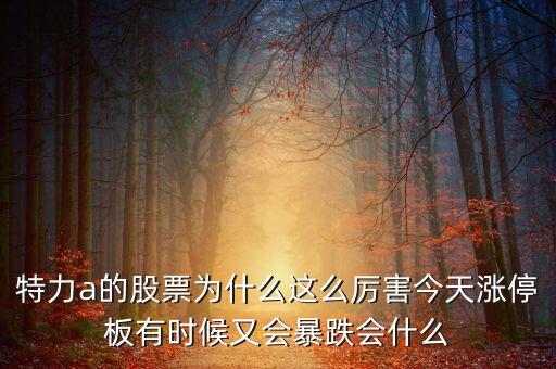 特力a的股票為什么這么厲害今天漲停板有時(shí)候又會(huì)暴跌會(huì)什么