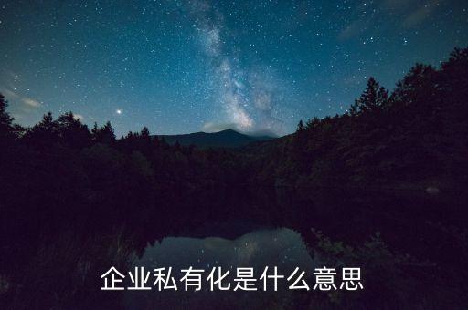 企業(yè)私有化是什么意思