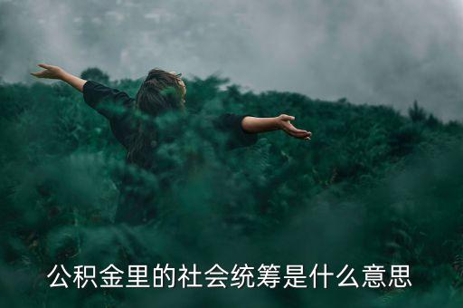 公積金里的社會(huì)統(tǒng)籌是什么意思