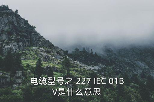 ccv在電纜行業(yè)是什么的縮寫，在電線行業(yè)BCASALMTCCCS是什么意思