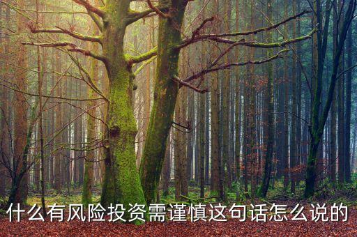 什么有風(fēng)險(xiǎn)投資需謹(jǐn)慎這句話(huà)怎么說(shuō)的