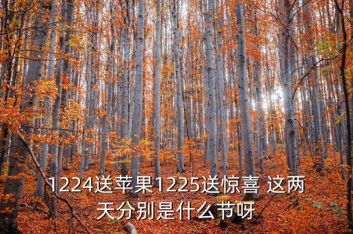 1224送蘋果1225送驚喜 這兩天分別是什么節(jié)呀