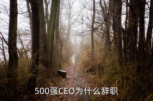 500強(qiáng)CEO為什么辭職