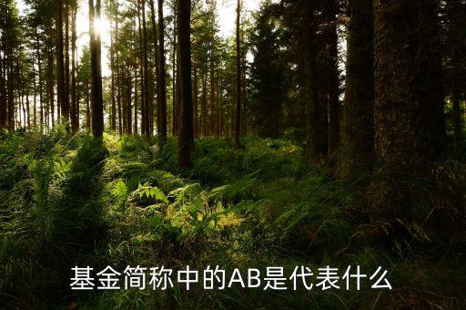 基金簡稱中的AB是代表什么