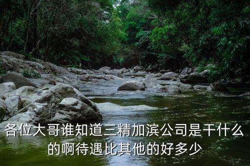 各位大哥誰知道三精加濱公司是干什么的啊待遇比其他的好多少