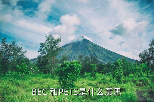 BEC 和PETS是什么意思