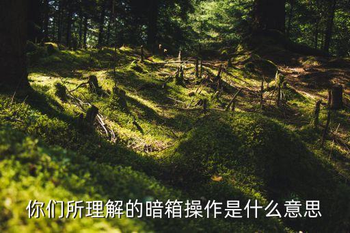 遭遇暗箱操作是什么意思，暗箱操作是什么意思