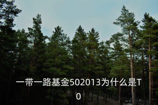 一帶一路基金502013為什么是T0