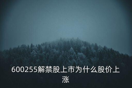 600255解禁股上市為什么股價上漲