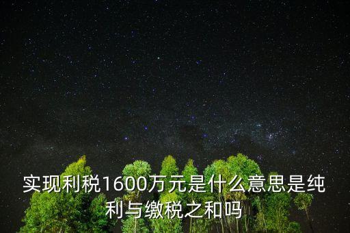 實現(xiàn)利稅1600萬元是什么意思是純利與繳稅之和嗎