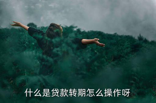 什么是貸款轉(zhuǎn)期怎么操作呀