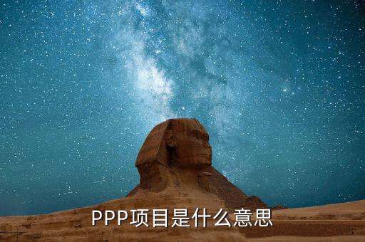 ppp項目進數(shù)據(jù)庫是什么意思，ppp項目是什么意思