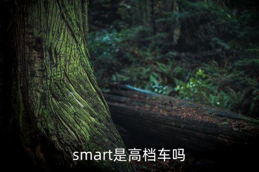 smart是高檔車(chē)嗎