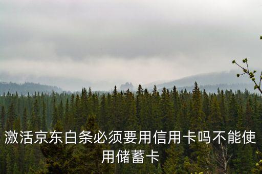 京東白條要什么銀行卡，京東打白條一定要信用卡嗎儲蓄卡不能用嗎