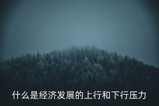 什么是經(jīng)濟(jì)發(fā)展的上行和下行壓力