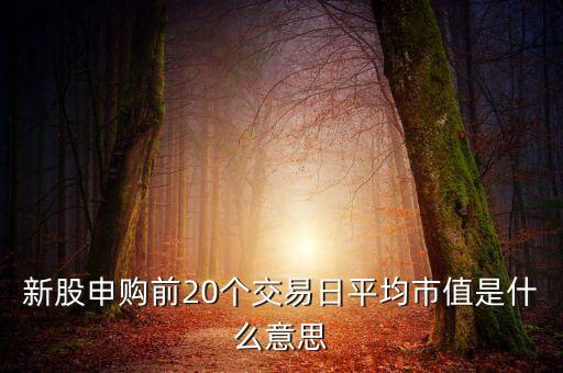 打新股市值20天什么意思，為什么申購新股要持股20天