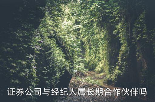 證券公司與經(jīng)紀(jì)人屬長(zhǎng)期合作伙伴嗎