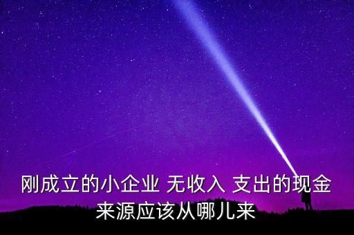 小企業(yè)主為什么沒現(xiàn)金，剛成立的小企業(yè) 無收入 支出的現(xiàn)金來源應(yīng)該從哪兒來