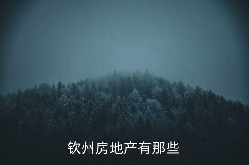 欽州房地產(chǎn)有那些