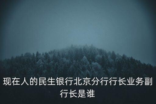 現(xiàn)在人的民生銀行北京分行行長業(yè)務(wù)副行長是誰