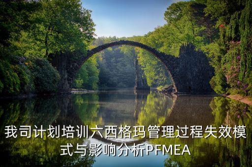 我司計劃培訓(xùn)六西格瑪管理過程失效模式與影響分析PFMEA