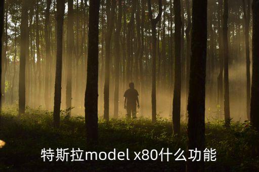 特斯拉x什么時(shí)候在中國(guó)上市，model x什么時(shí)候在中國(guó)上市