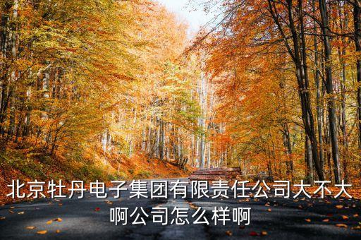 北京牡丹電子集團(tuán)有限責(zé)任公司大不大啊公司怎么樣啊