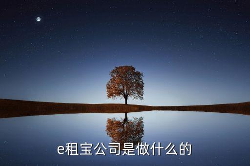 e租寶干什么的，e租寶公司是做什么的