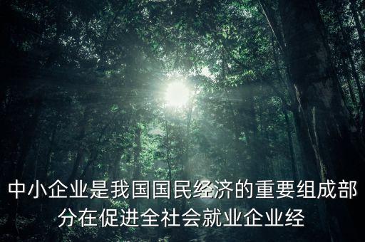 中小微企業(yè)是國民經(jīng)濟的什么，中小企業(yè)是我國國民經(jīng)濟的重要組成部分在促進全社會就業(yè)企業(yè)經(jīng)