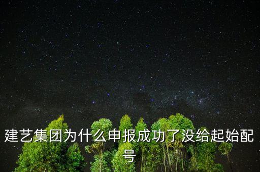 建藝集團(tuán)為什么申報(bào)成功了沒給起始配號(hào)