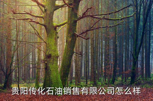 貴陽(yáng)傳化石油銷(xiāo)售有限公司怎么樣