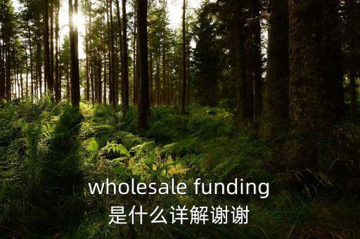 wholesale funding是什么詳解謝謝