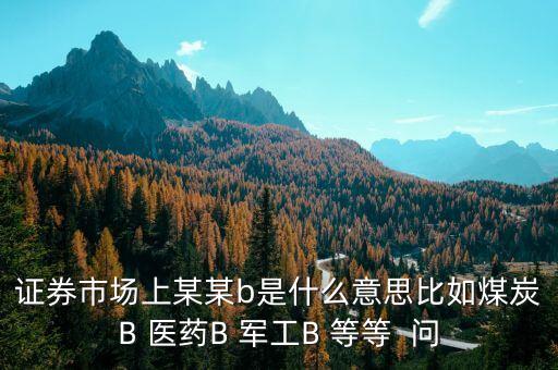 證券市場上某某b是什么意思比如煤炭B 醫(yī)藥B 軍工B 等等  問