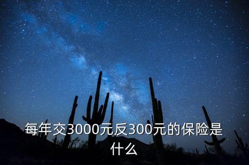 每年交3000元反300元的保險(xiǎn)是什么