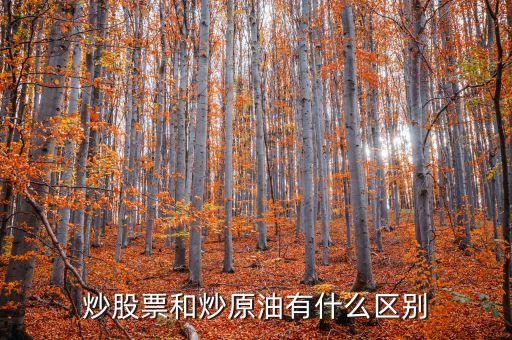 炒股票和炒原油有什么區(qū)別