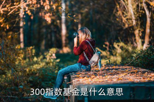 300指數(shù)基金是什么意思