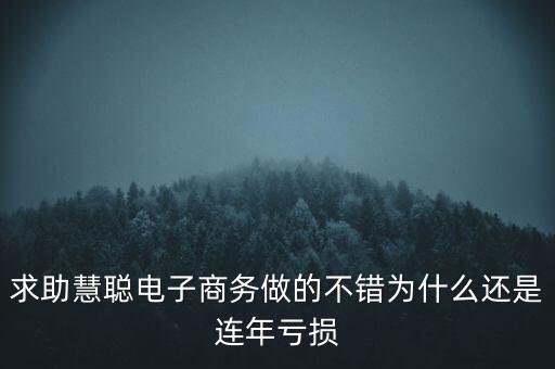 求助慧聰電子商務(wù)做的不錯為什么還是連年虧損