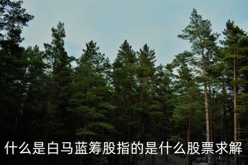 什么是白馬藍(lán)籌股指的是什么股票求解