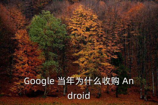 Google 當(dāng)年為什么收購(gòu) Android