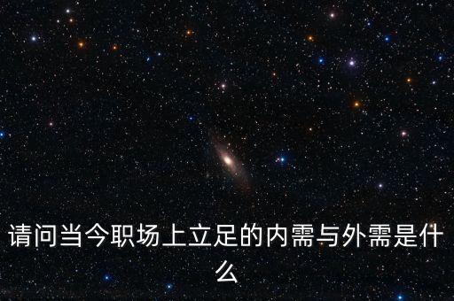 請問當(dāng)今職場上立足的內(nèi)需與外需是什么