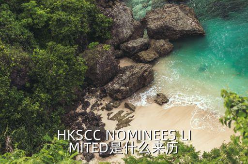 HKSCC NOMINEES LIMITED是什么來歷