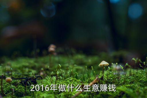 2016年做什么生意賺錢