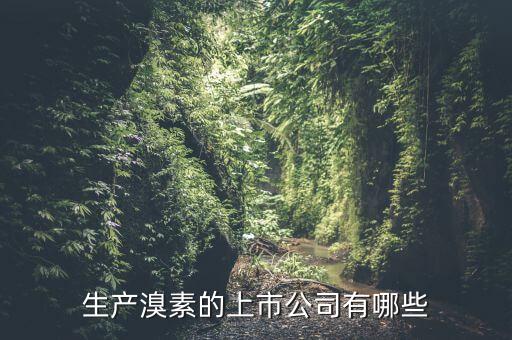 為什么溴素價格上漲，生產溴素的上市公司有哪些