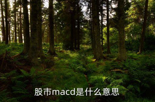 股市macd是什么意思