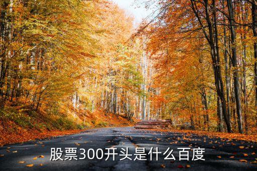 300開頭的新股票是什么，300開頭的是什么股票